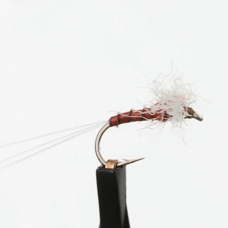 Rusty Spinner Quill Body