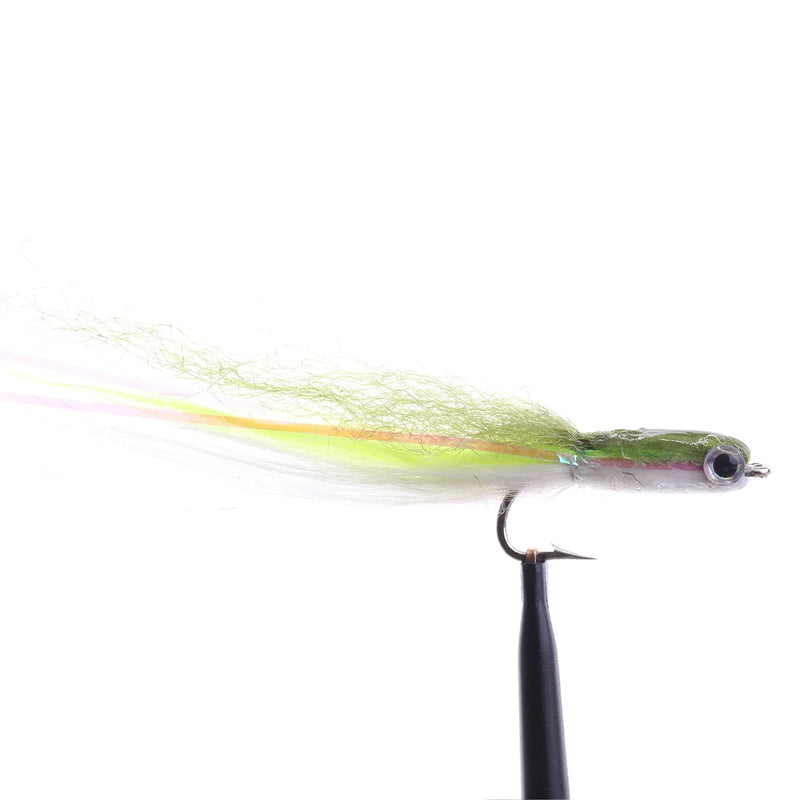 Surf Sand Eel
