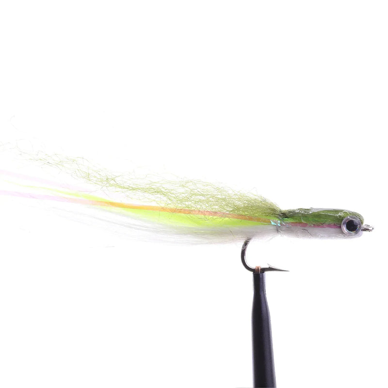 Surf Sand Eel Olive/White