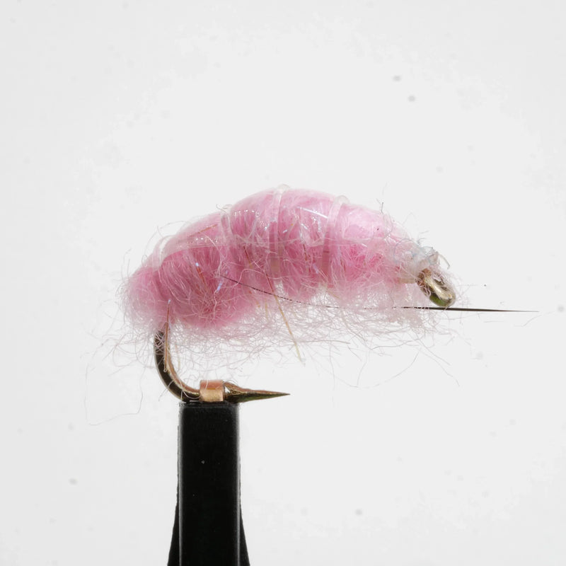 Shrimp Scud Pink
