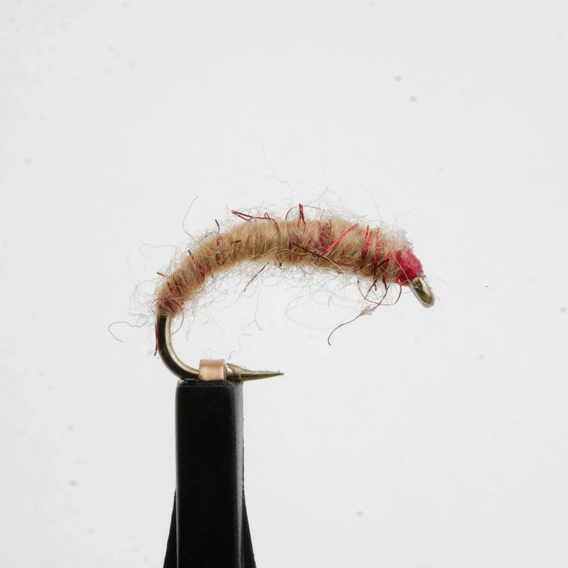 Sow Bug Natural