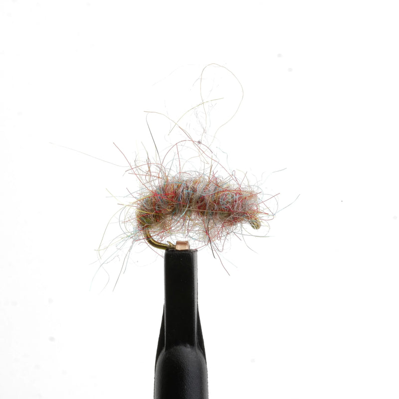 Sow Bug Rainbow