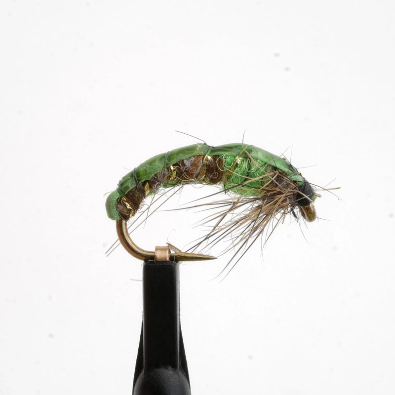 Czech Mate Scud Green