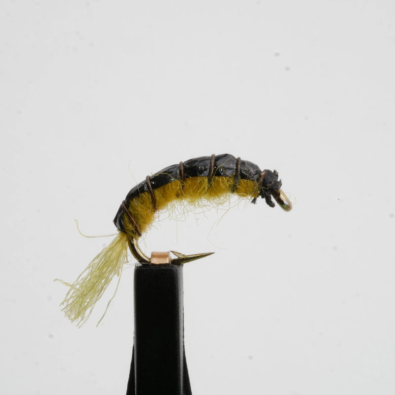 Amber Scud Natural