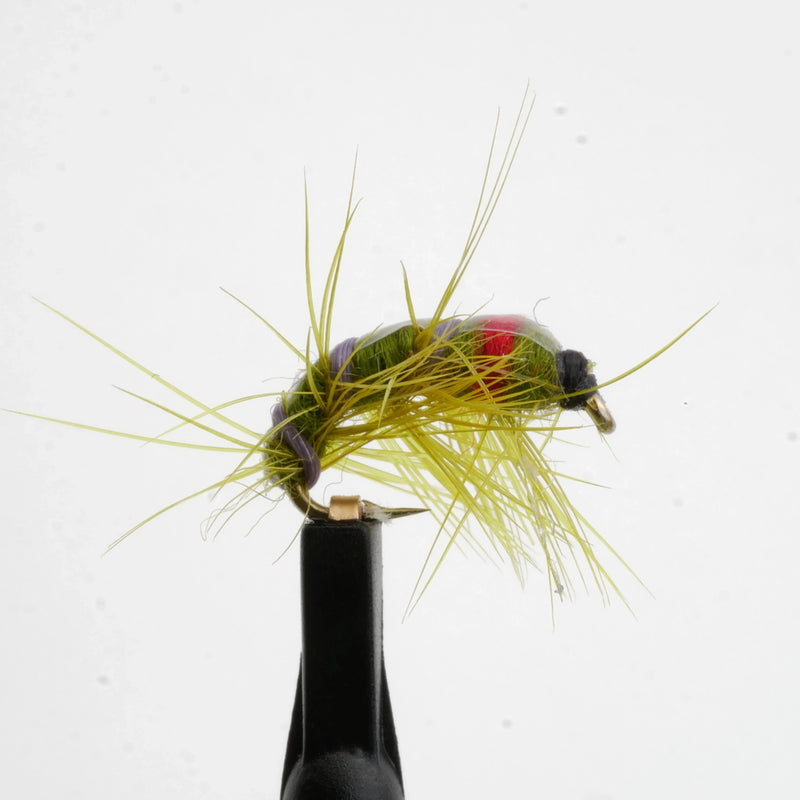 Olive Glass Natural