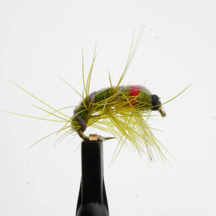 Olive Glass Natural