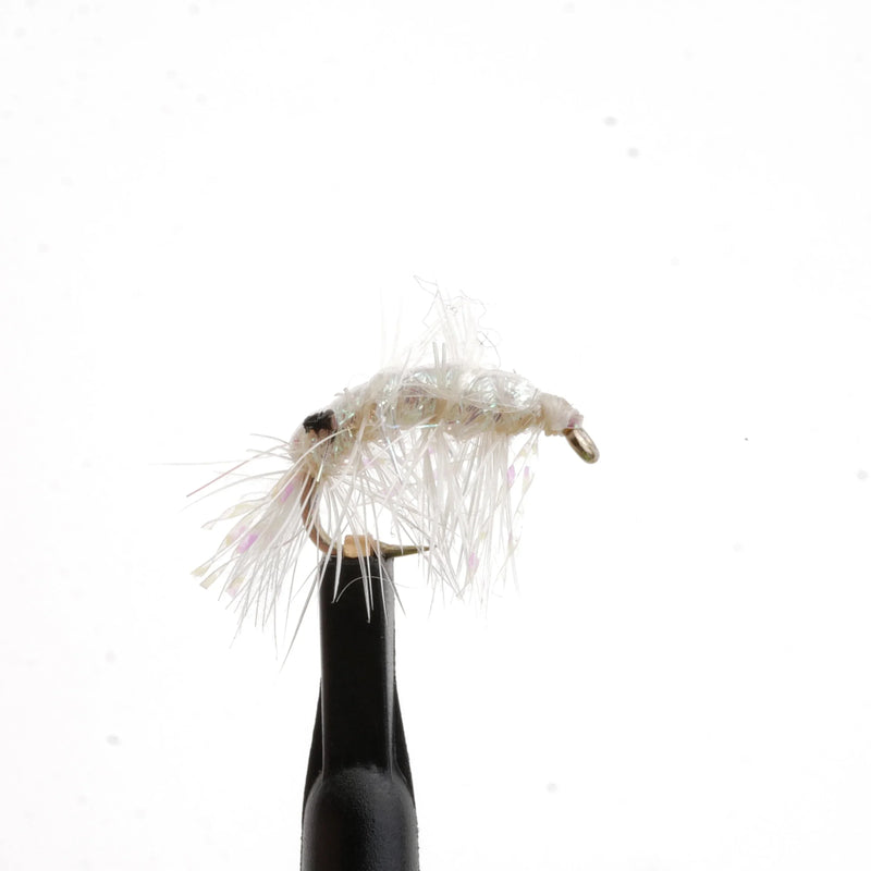 Pearl Shrimp