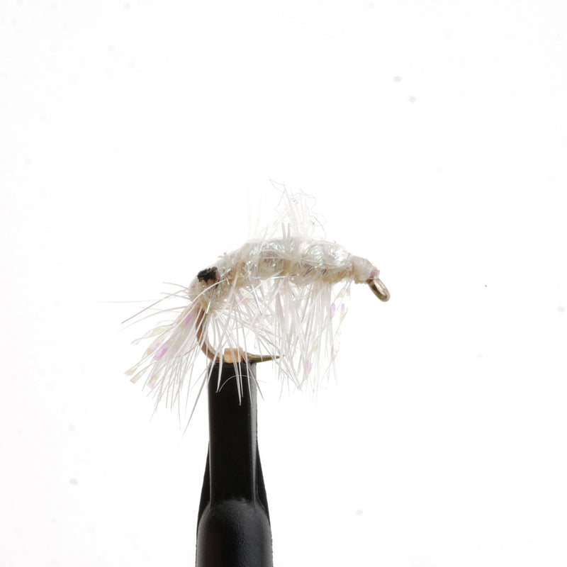 Pearl Shrimp Natural