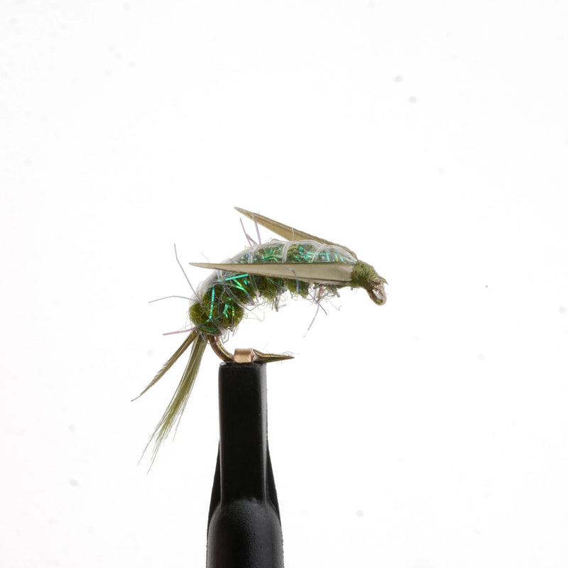 Olive Scud Natural