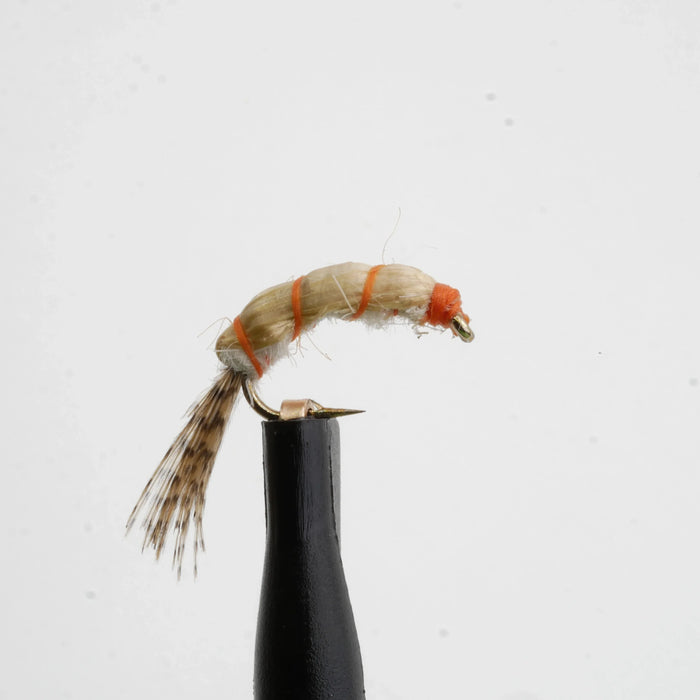Mysis Shrimp Natural
