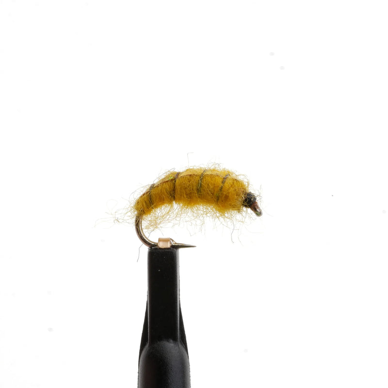 Flashback Scud Amber