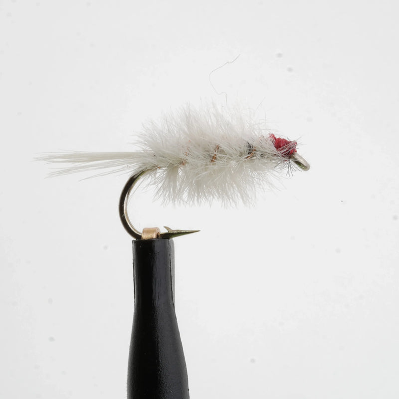 Pearl Shrimp Scud Natural