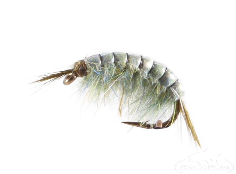 Scud Gray Olive