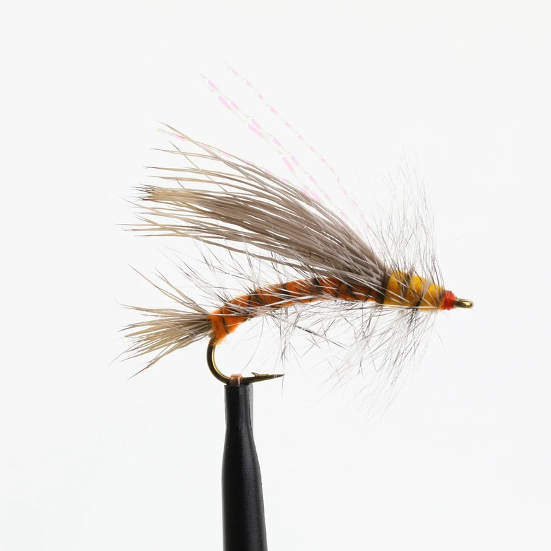 Stimulator Orange