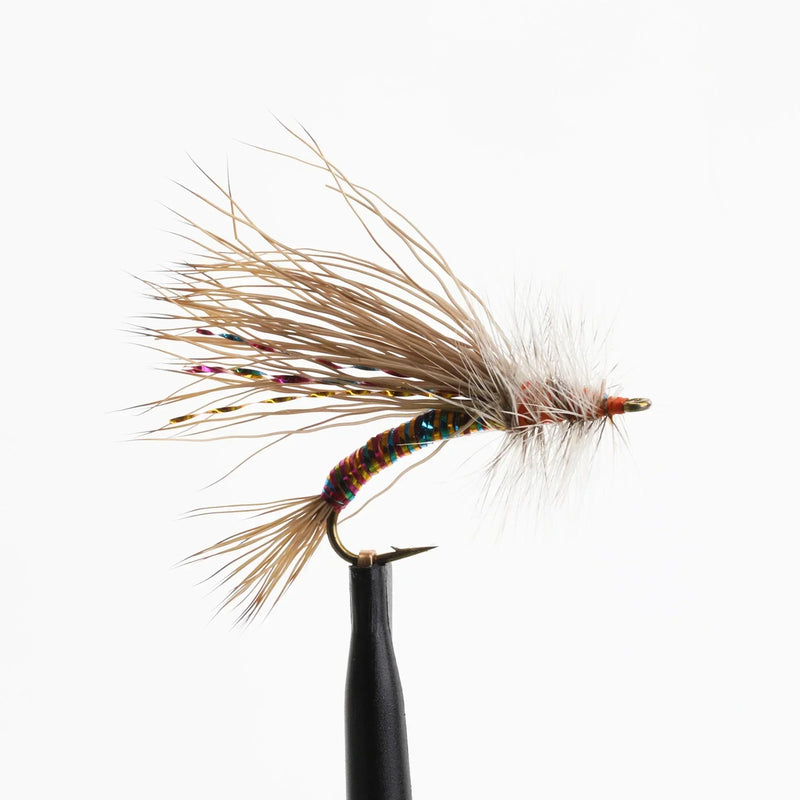 Stimulator Rainbow