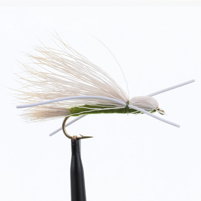 Madam X Olive
