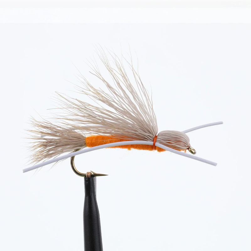 Madam X Orange