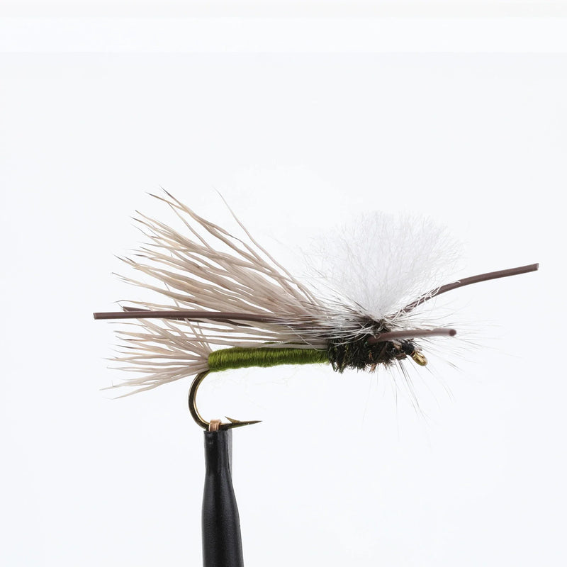 PMX Olive