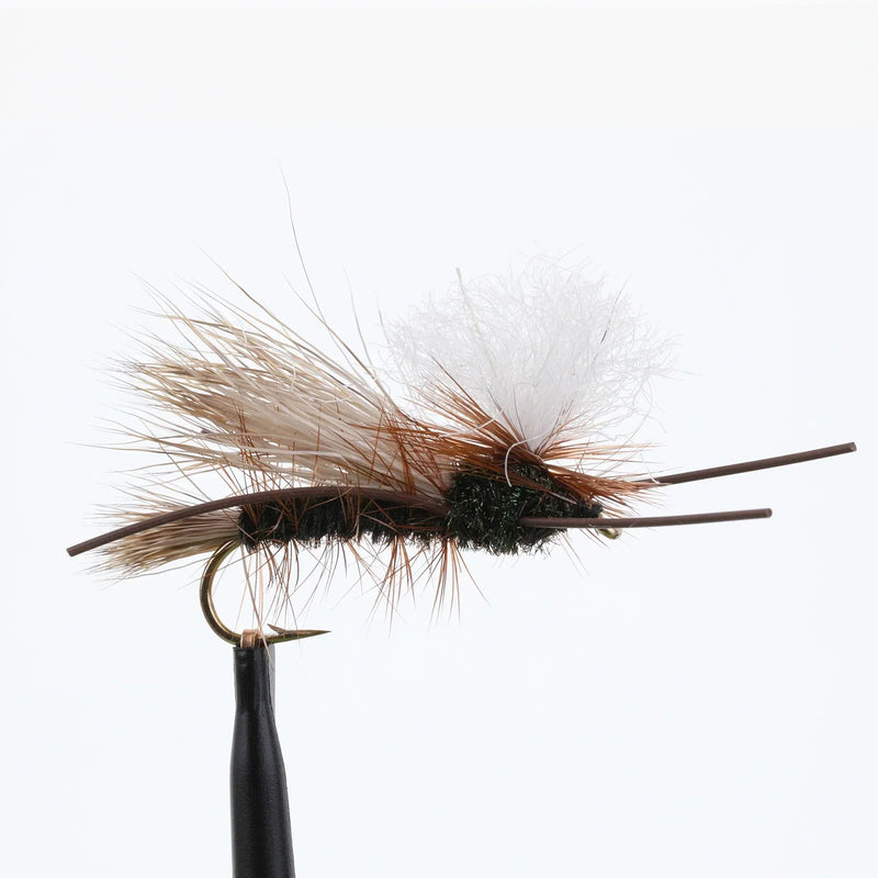 PMX Peacock