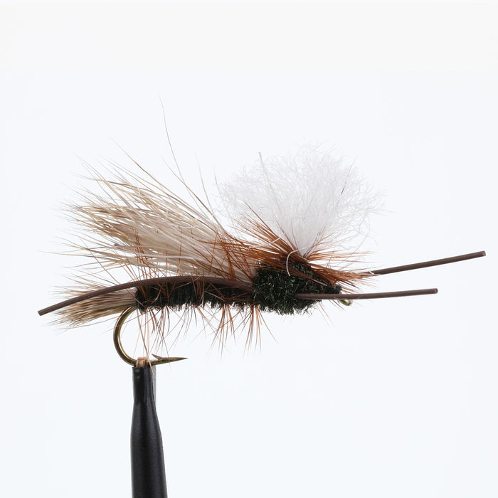 PMX Peacock