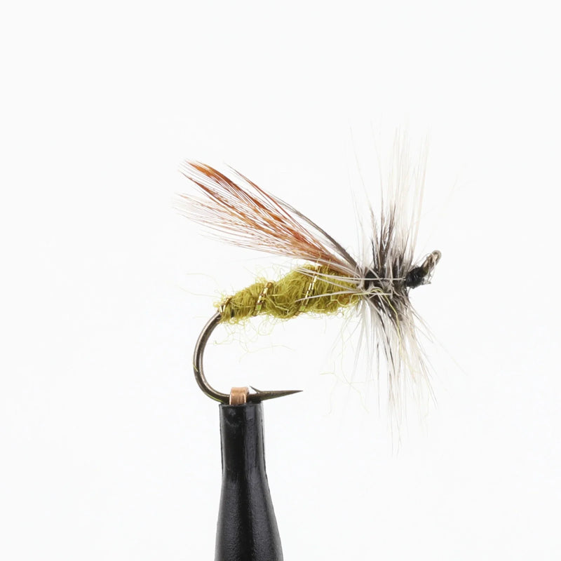 Dry Stonefly