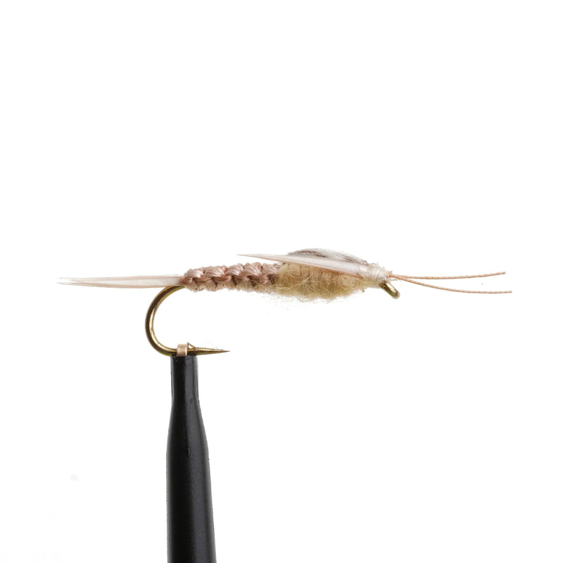 BeadHead Woven Stonefly Tan
