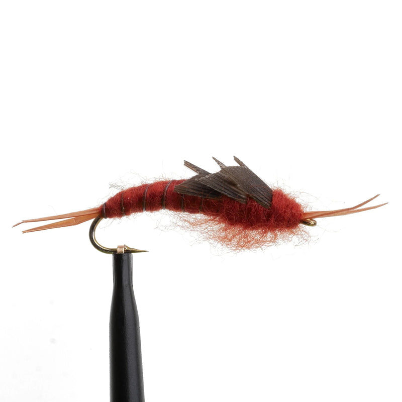 BeadHead Kaufmann's Stonefly Maroon