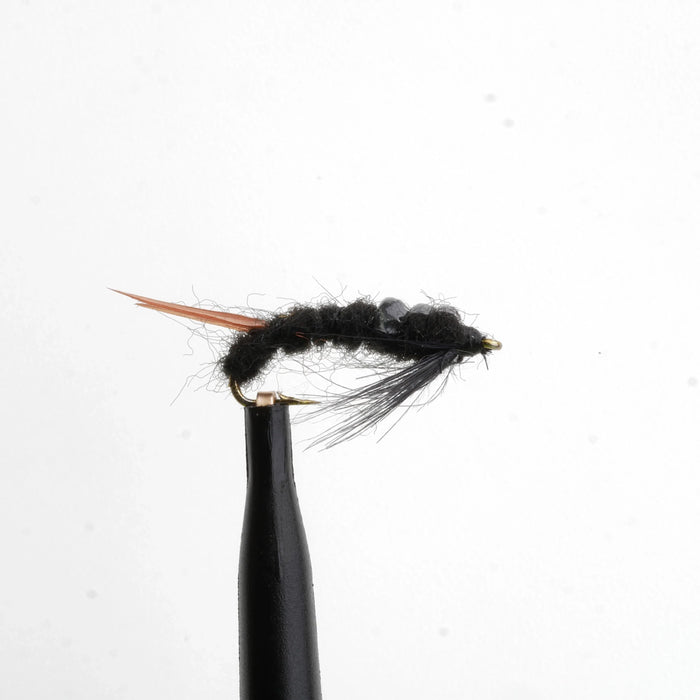Early Black Stonefly Natural