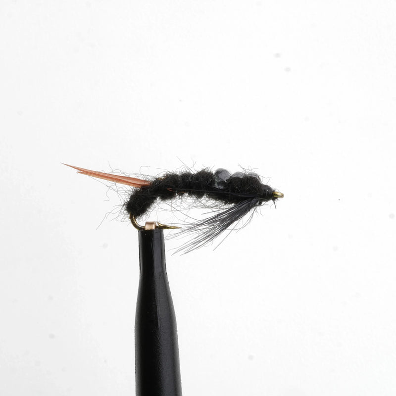 Early Black Stonefly Natural