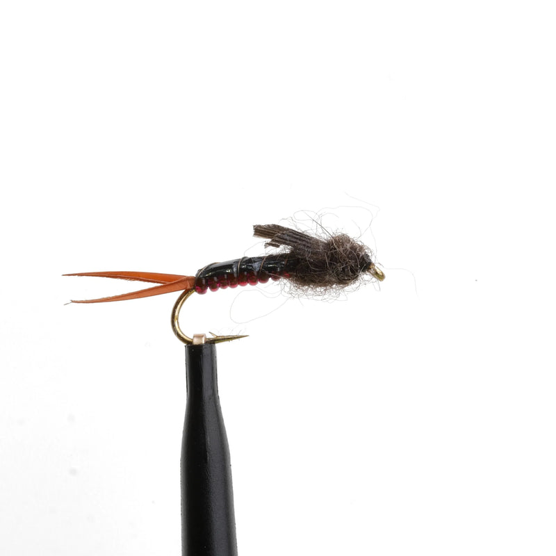 Glass Stonefly Red/Black
