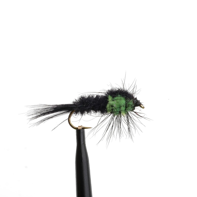Montana Stonefly Green