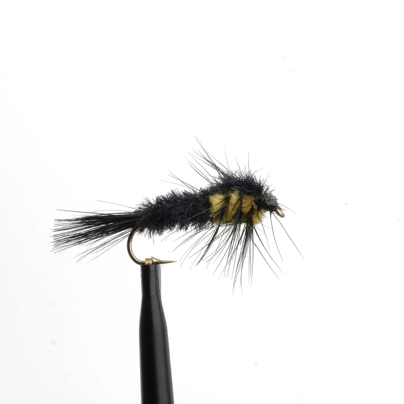 Montana Stonefly Yellow