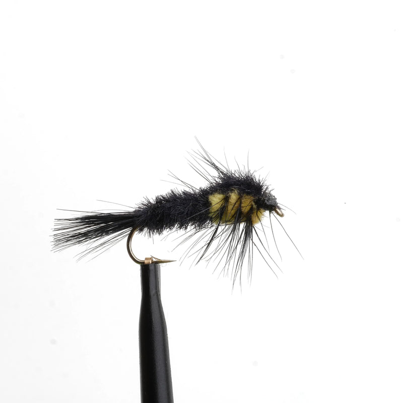 Montana Stonefly Yellow