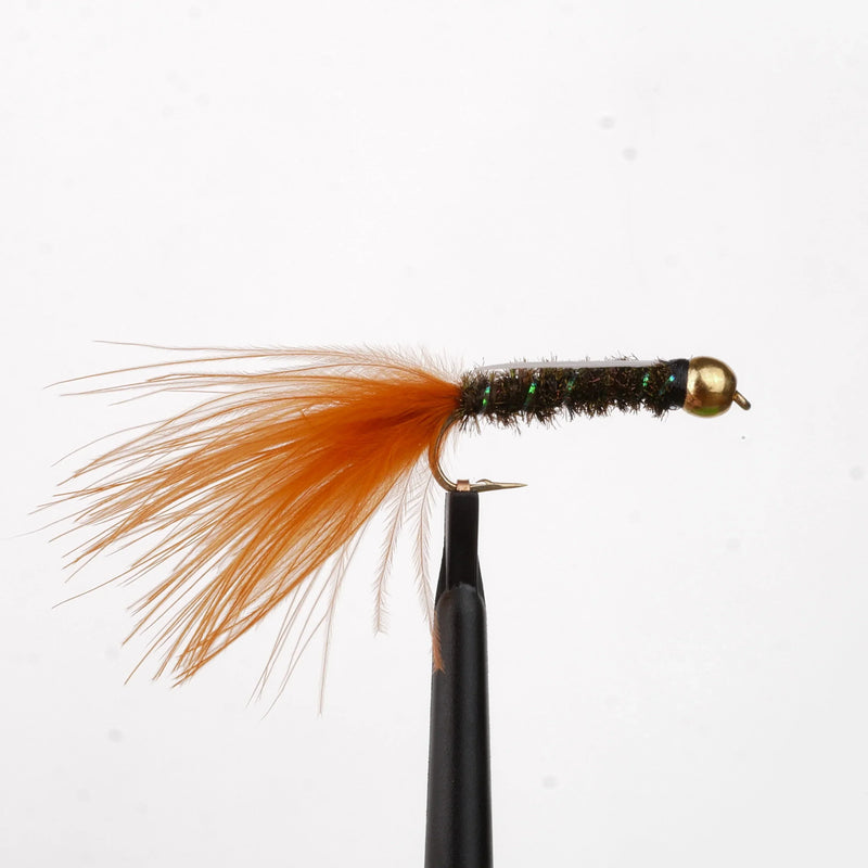 Aggravator Orange