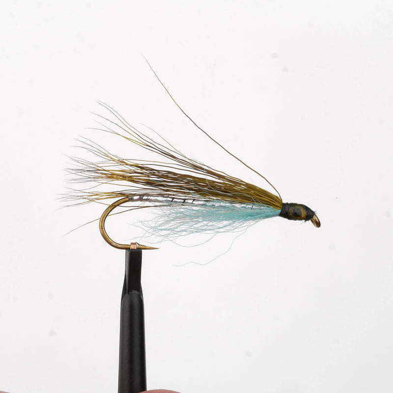 Lake Erie Shiner Natural