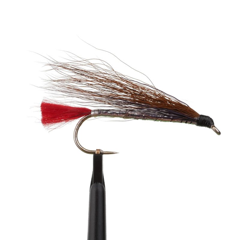Black Nosed Dace Silver