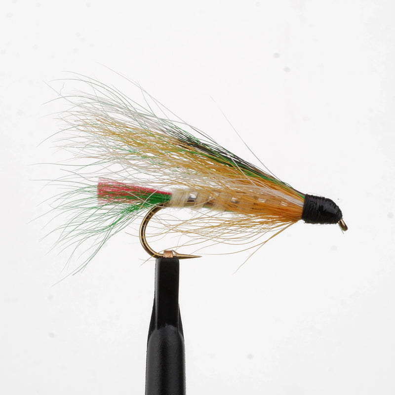 Little Brook Trout Natural