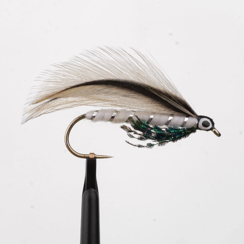 Silver Darter Natural