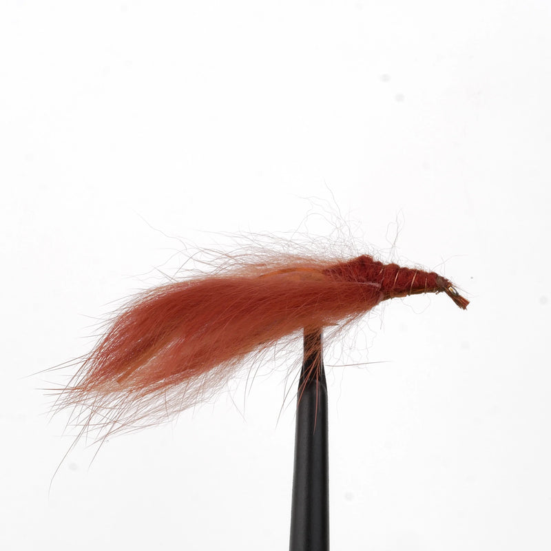 CrayFish Bunny Brown