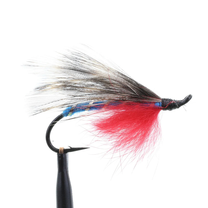 Shiner Blue