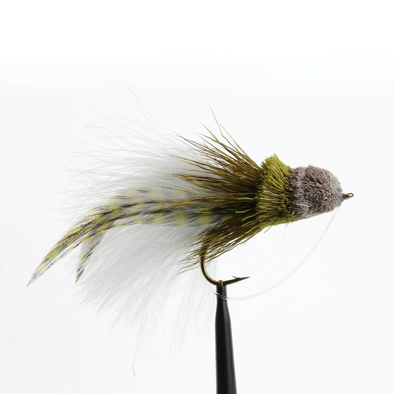 Diving Dahlberg Bug
