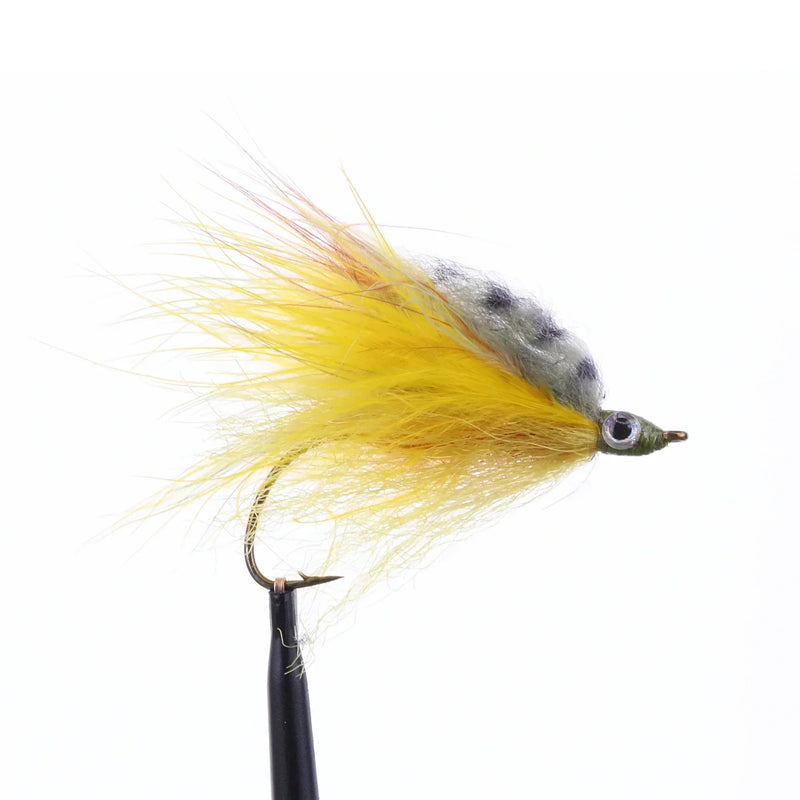 Baby Bluegill Minnow