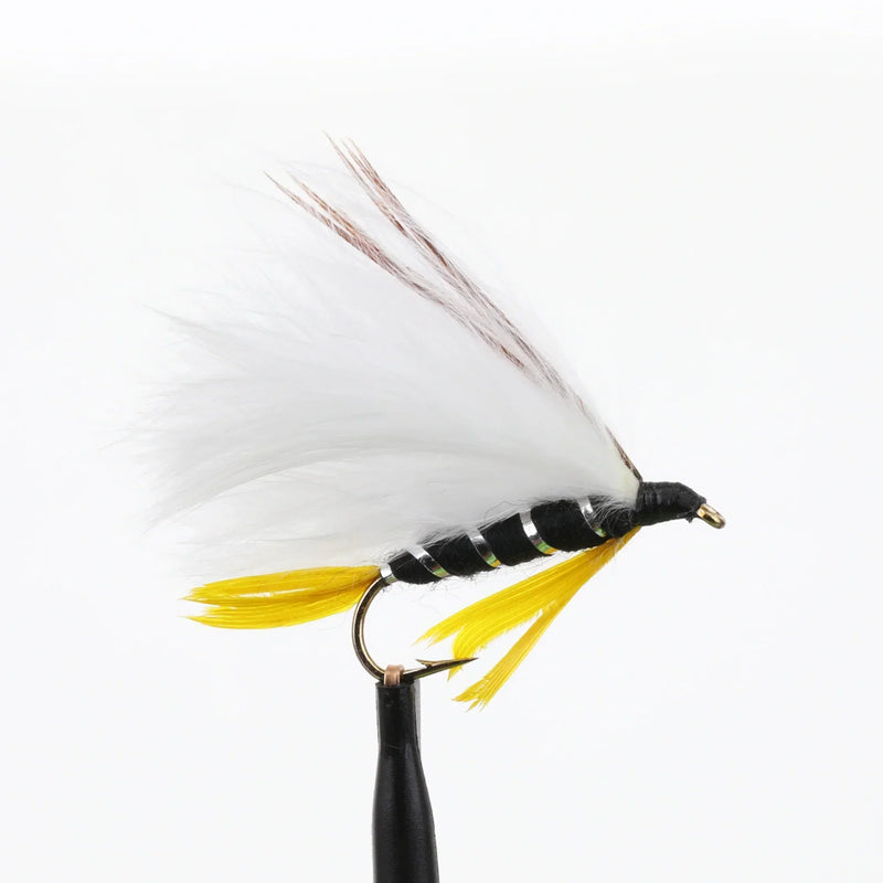 Black Ghost Marabou