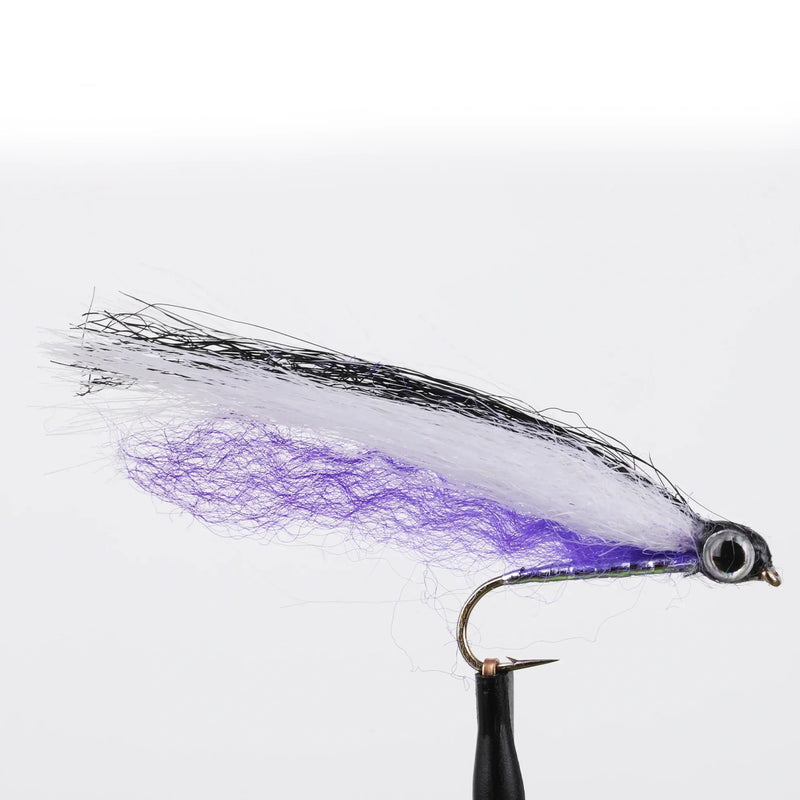 Winnipesaukee Smelt