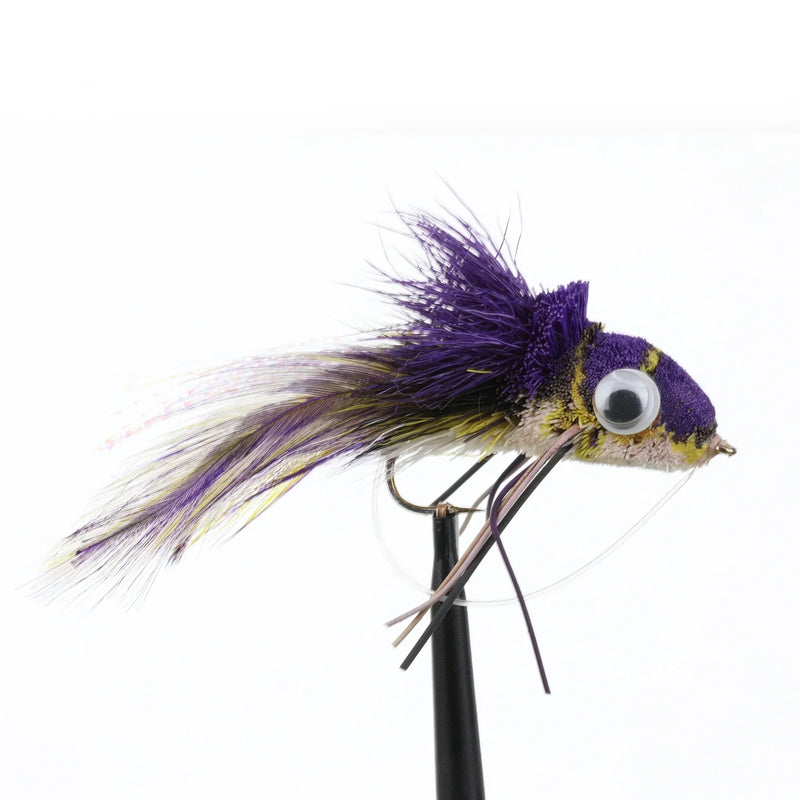 Swimming Frog Purple