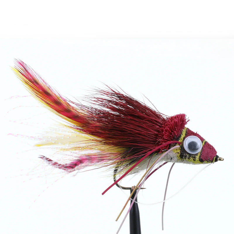 Swimming Frog Red