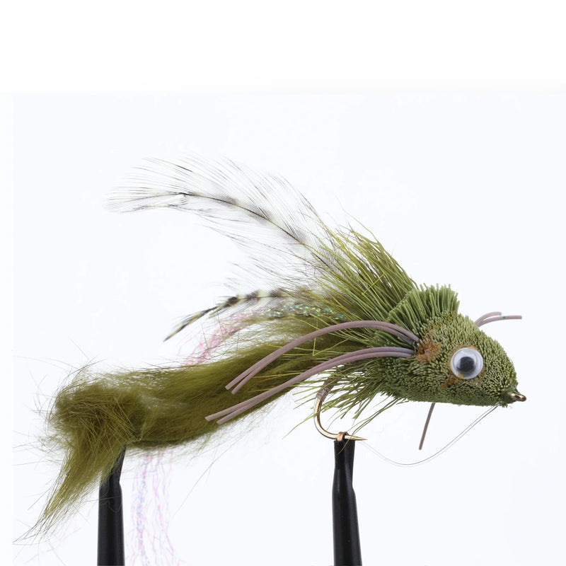 Swimming Waterdog Olive