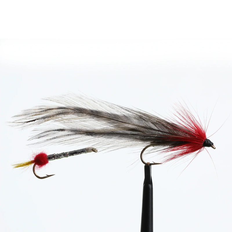 York's Kennebago