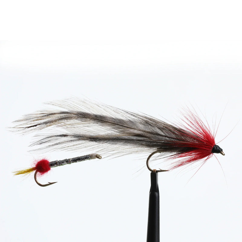 York's Kennebago