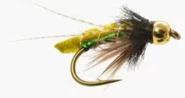 BeadHead Caddis Poopah Olive